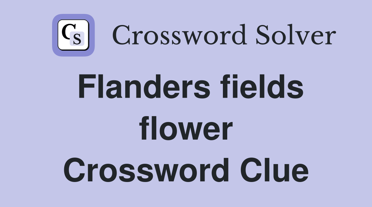 Flanders fields flower Crossword Clue