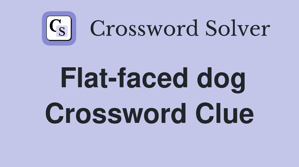 Flat-faced dog Crossword Clue