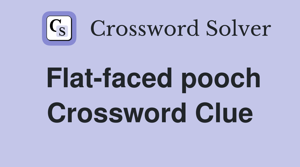 Flat-faced pooch Crossword Clue