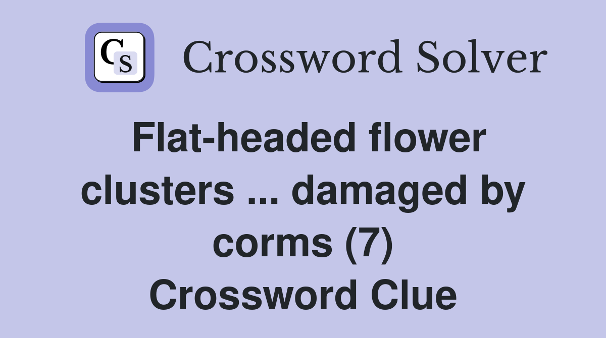 Flat-headed flower clusters ... damaged by corms (7) Crossword Clue