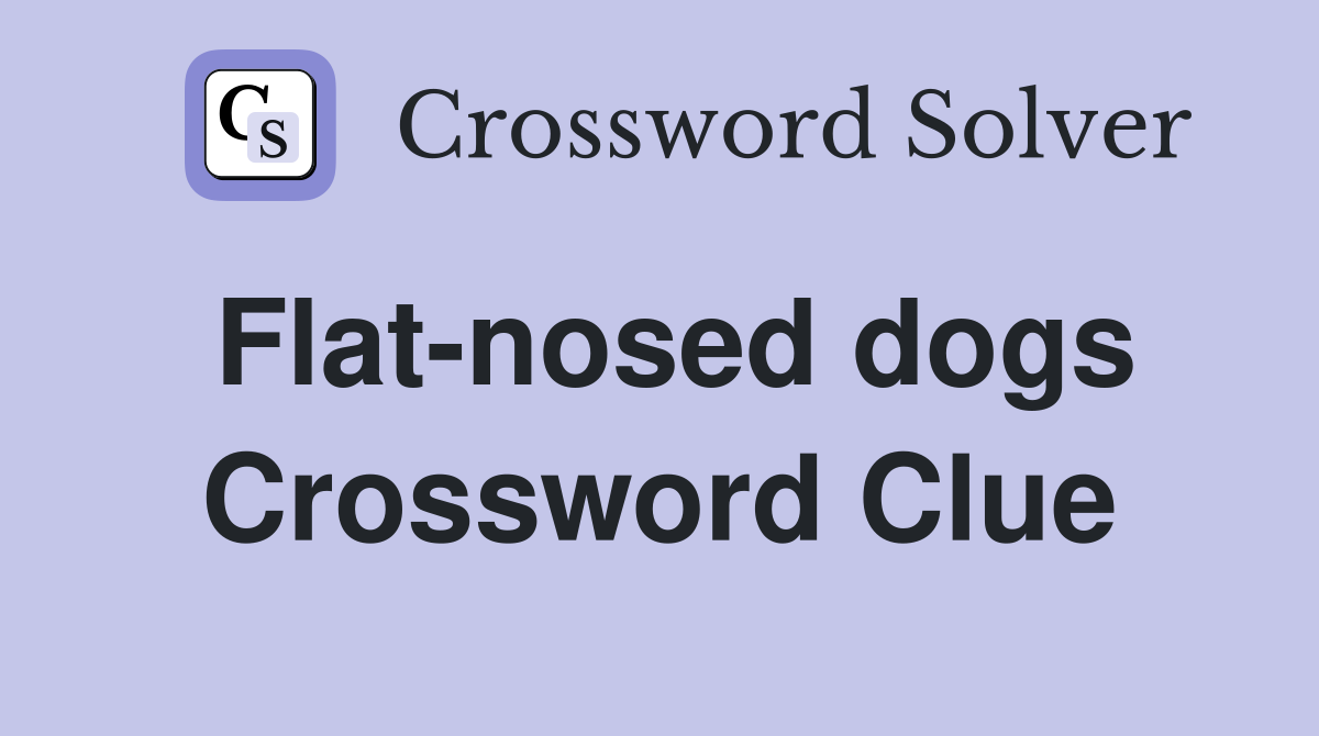 Flat-nosed dogs Crossword Clue