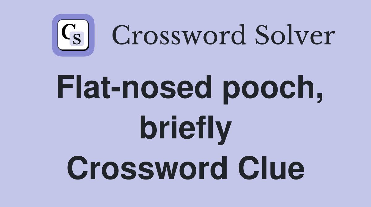 Flat-nosed pooch, briefly Crossword Clue