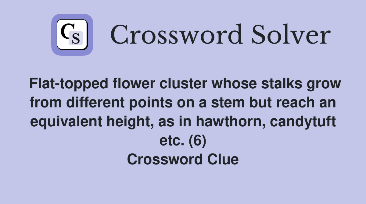 Flat-topped flower cluster whose stalks grow from different points on a stem but reach an equivalent height, as in hawthorn, candytuft etc. (6) Crossword Clue