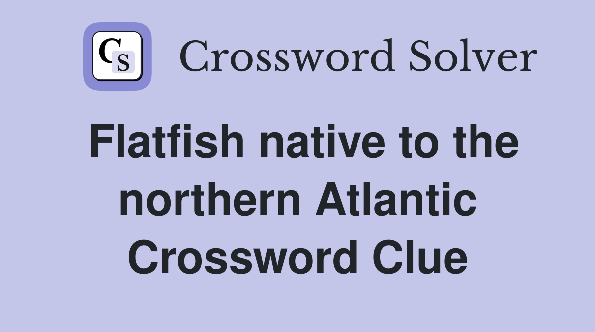 Flatfish native to the northern Atlantic Crossword Clue