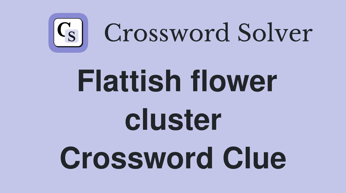 Flattish flower cluster Crossword Clue