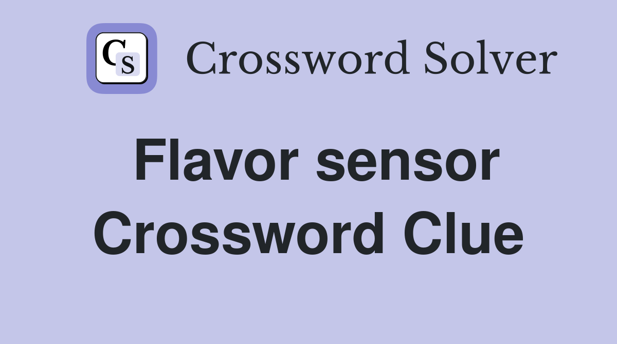 Flavor sensor Crossword Clue