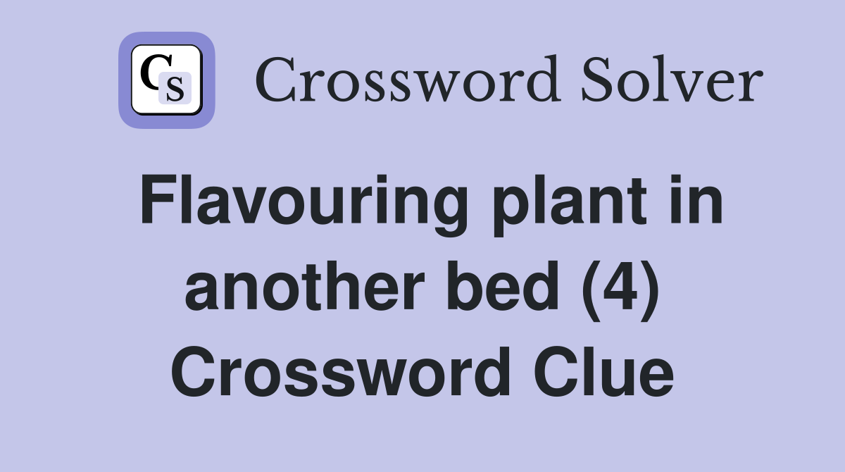 Flavouring plant in another bed (4) Crossword Clue
