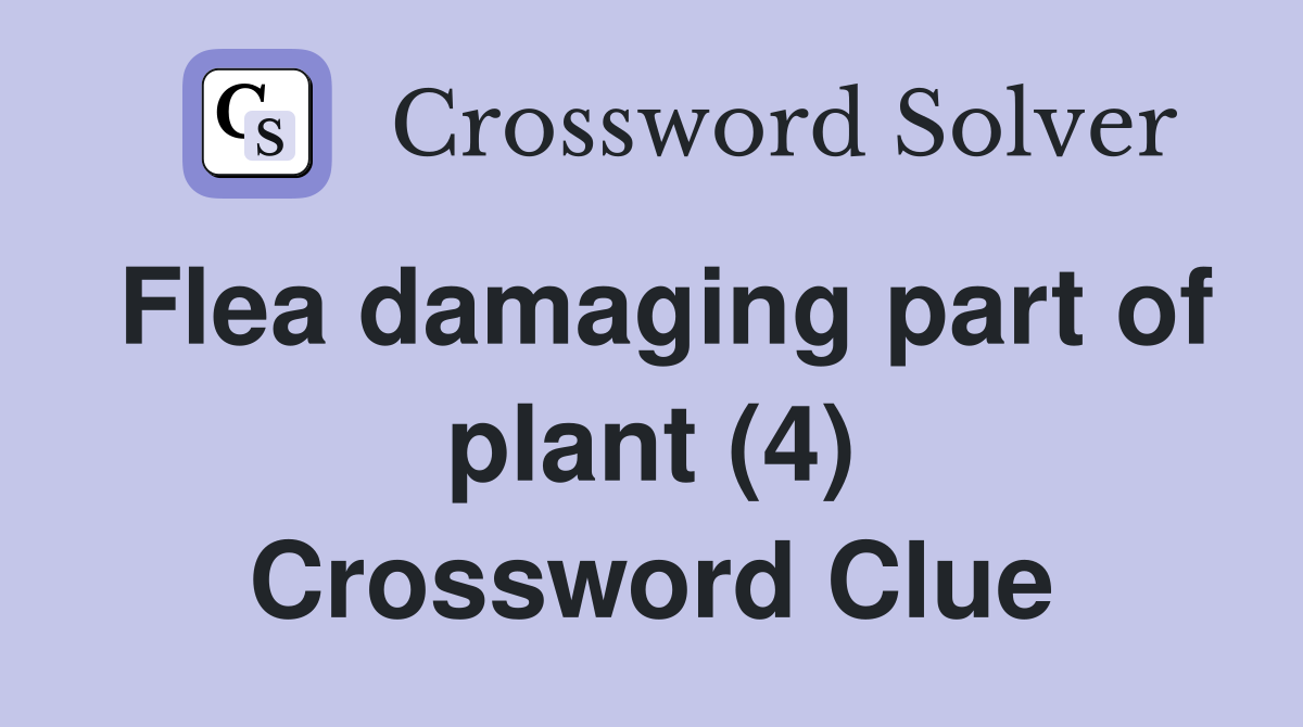 Flea damaging part of plant (4) Crossword Clue