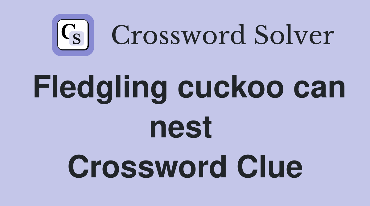 Fledgling cuckoo can nest  Crossword Clue