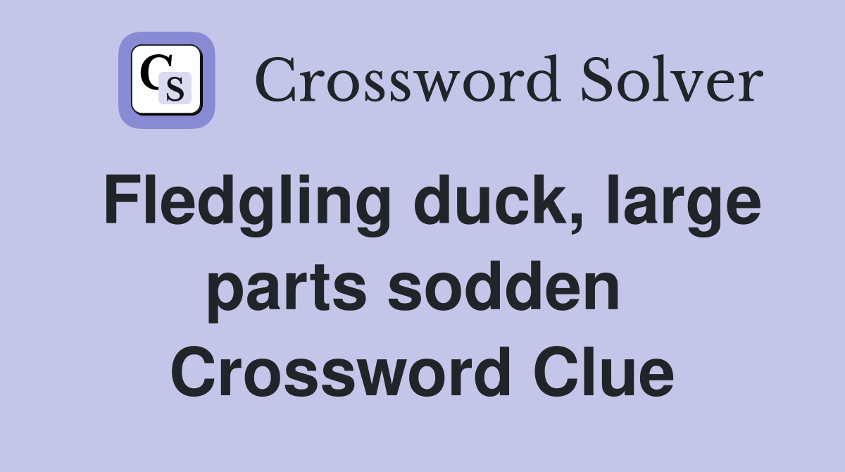 Fledgling duck, large parts sodden  Crossword Clue