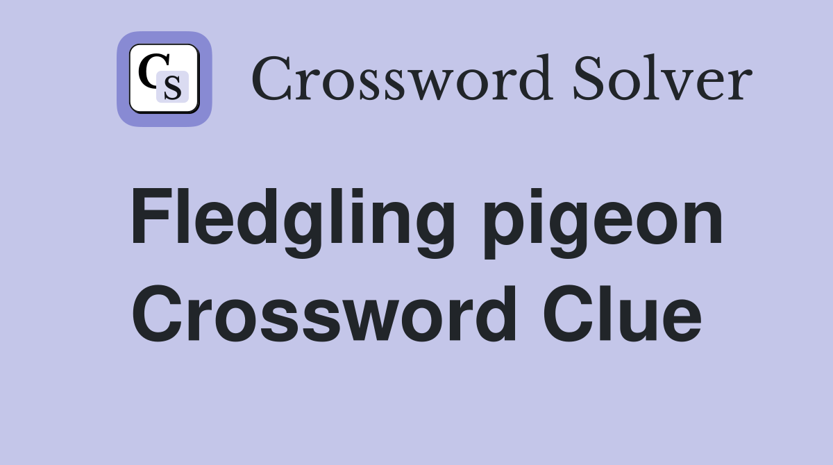 Fledgling pigeon Crossword Clue
