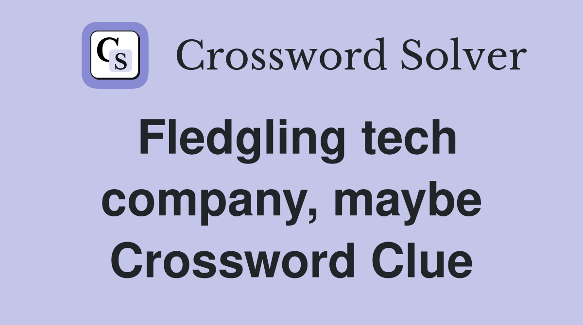 Fledgling tech company, maybe Crossword Clue