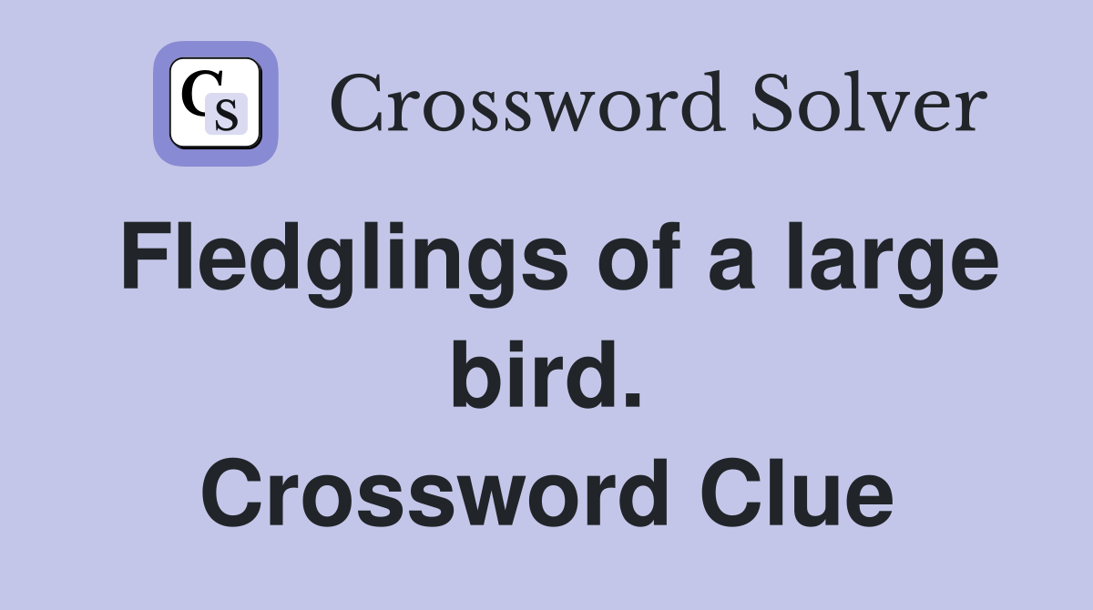 Fledglings of a large bird. Crossword Clue