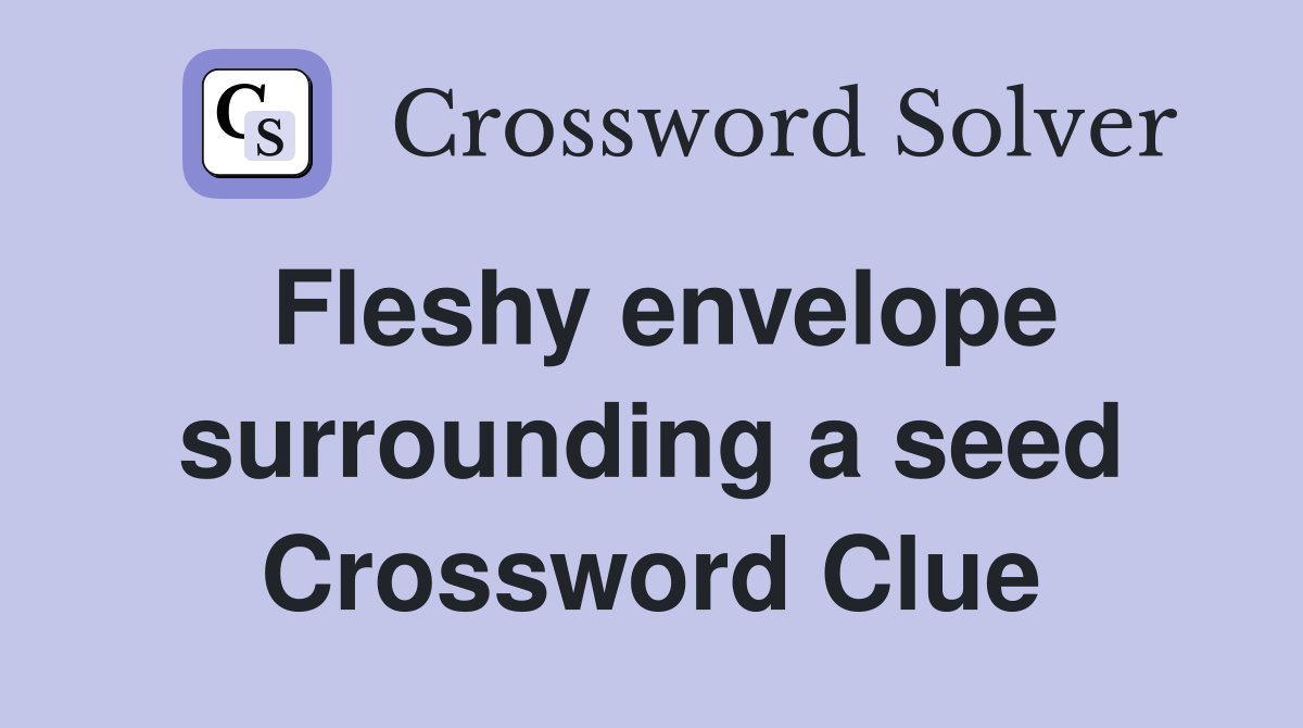Fleshy envelope surrounding a seed Crossword Clue