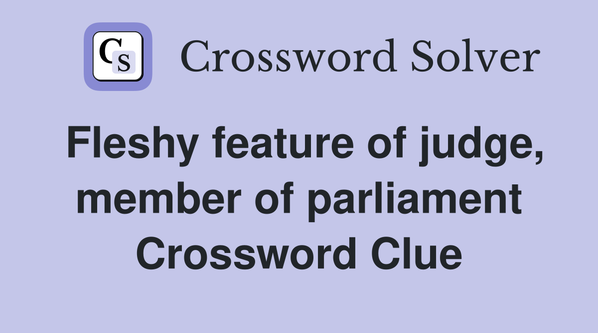 Fleshy feature of judge, member of parliament Crossword Clue