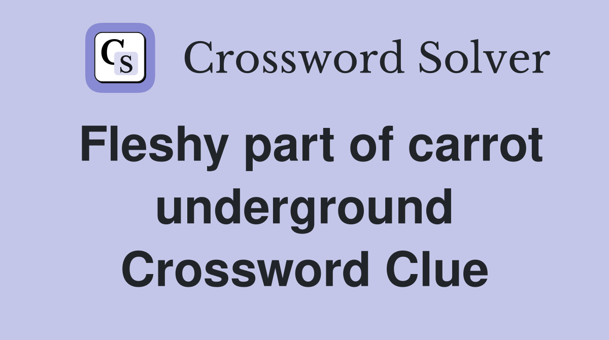 Fleshy part of carrot underground Crossword Clue