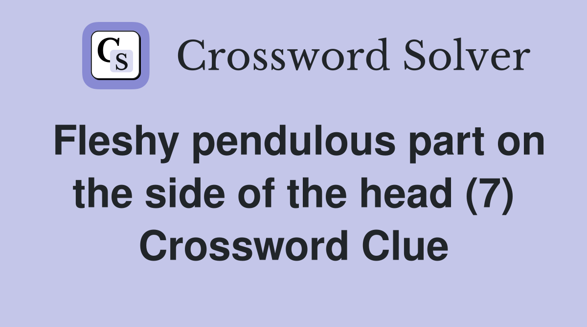 Fleshy pendulous part on the side of the head (7) Crossword Clue