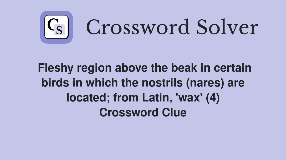 Fleshy region above the beak in certain birds in which the nostrils (nares) are located; from Latin, 'wax' (4) Crossword Clue