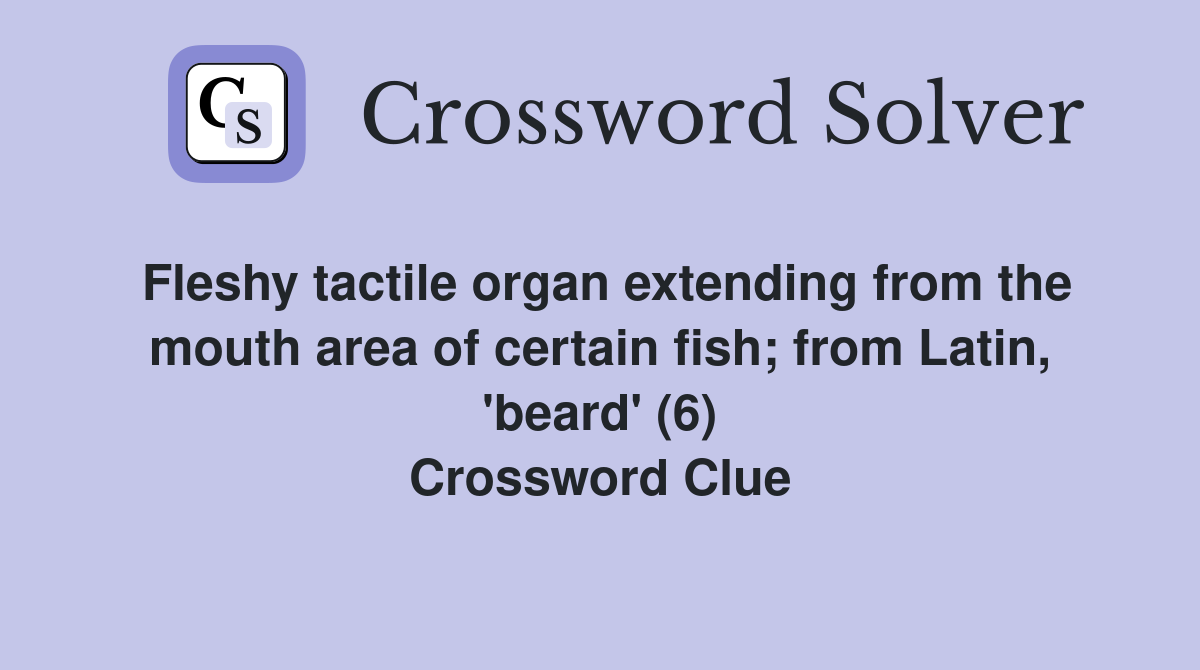 Fleshy tactile organ extending from the mouth area of certain fish; from Latin, 'beard' (6) Crossword Clue