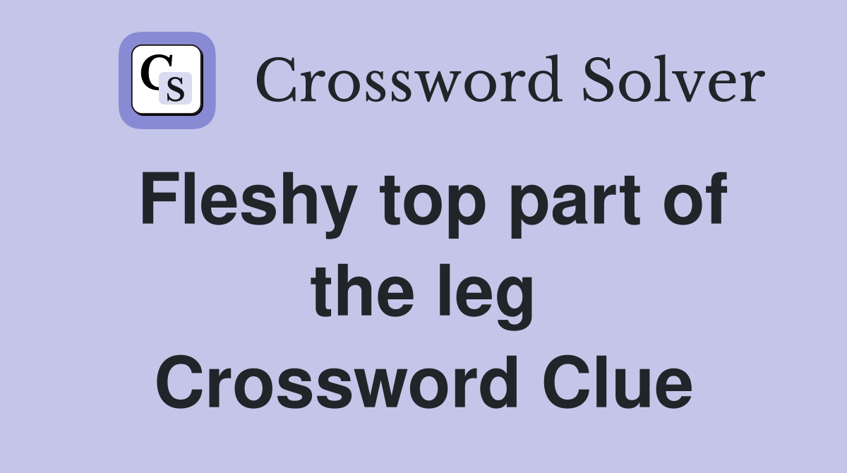 Fleshy top part of the leg Crossword Clue