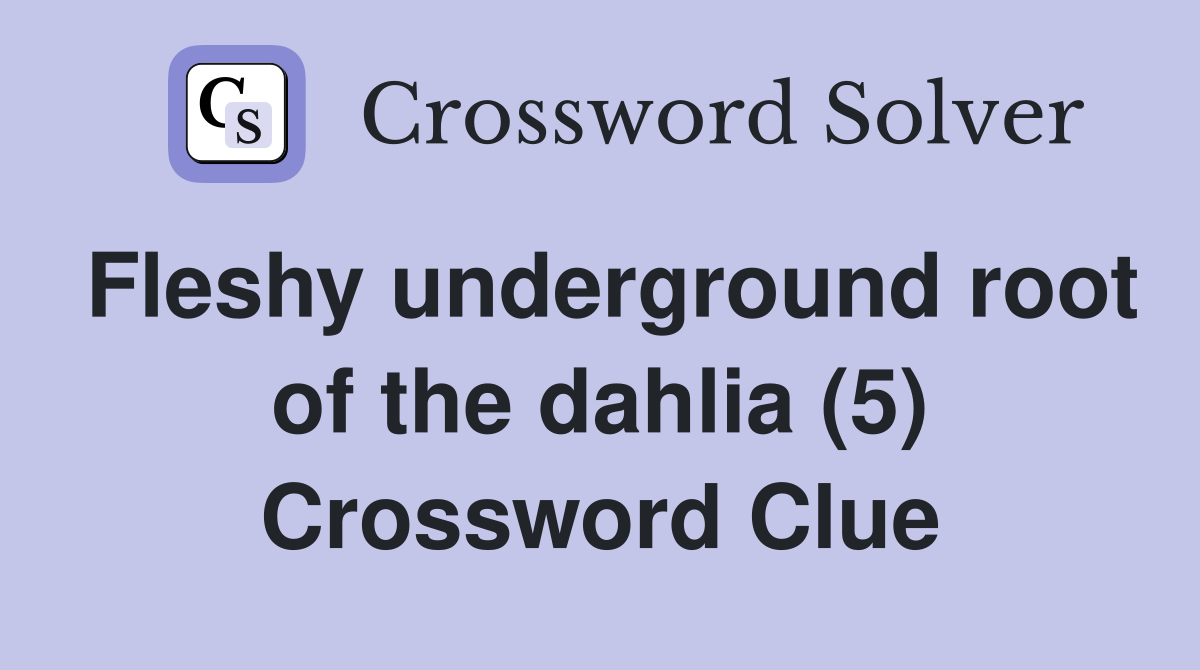 Fleshy underground root of the dahlia (5) Crossword Clue