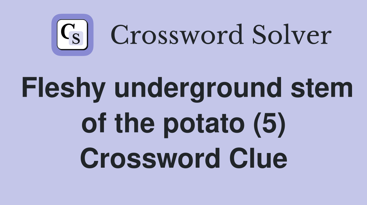 Fleshy underground stem of the potato (5) Crossword Clue