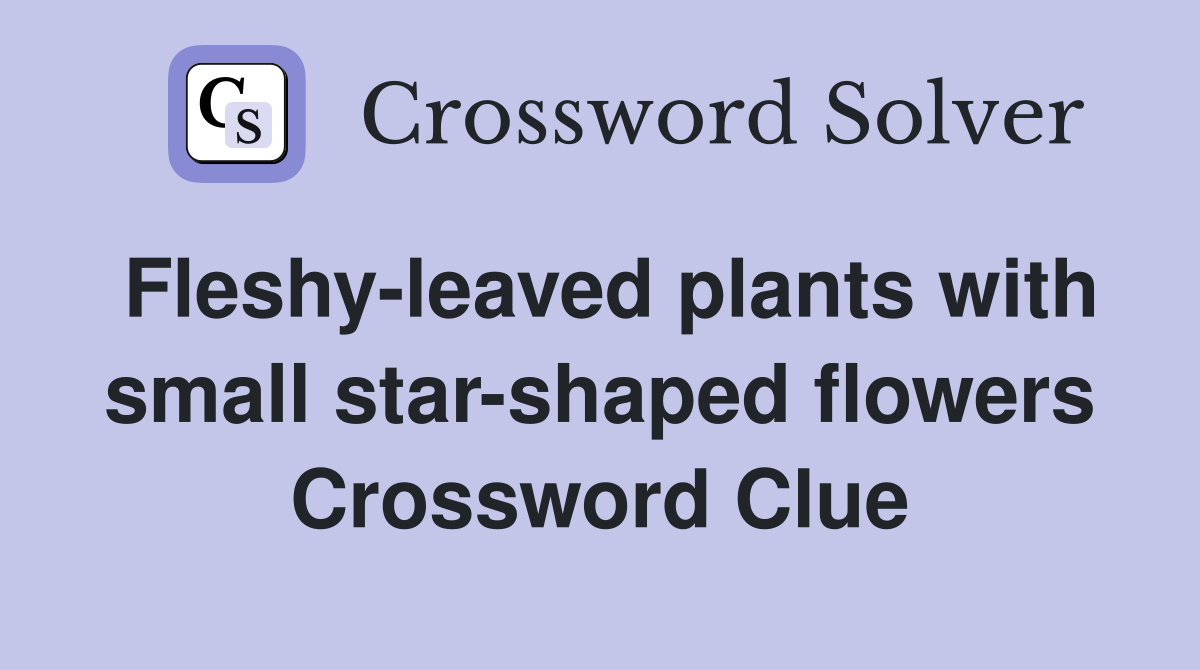 Fleshy-leaved plants with small star-shaped flowers Crossword Clue
