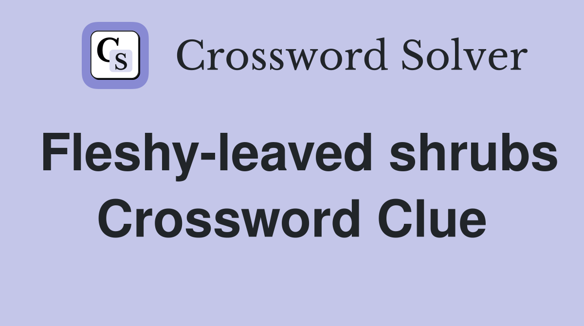 Fleshy-leaved shrubs Crossword Clue