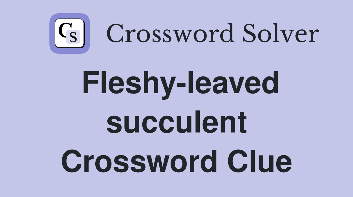 Fleshy-leaved succulent Crossword Clue