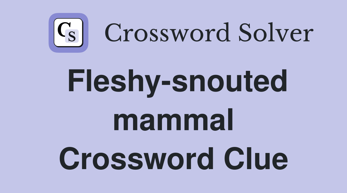 Fleshy-snouted mammal Crossword Clue