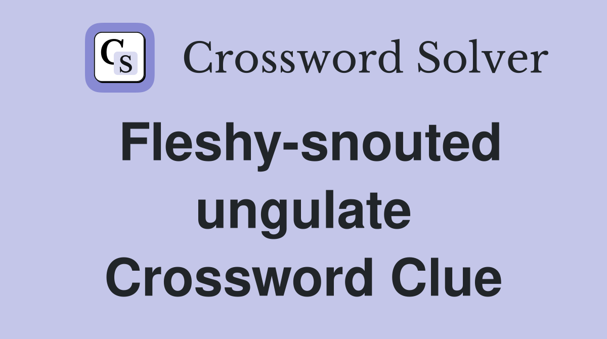 Fleshy-snouted ungulate Crossword Clue