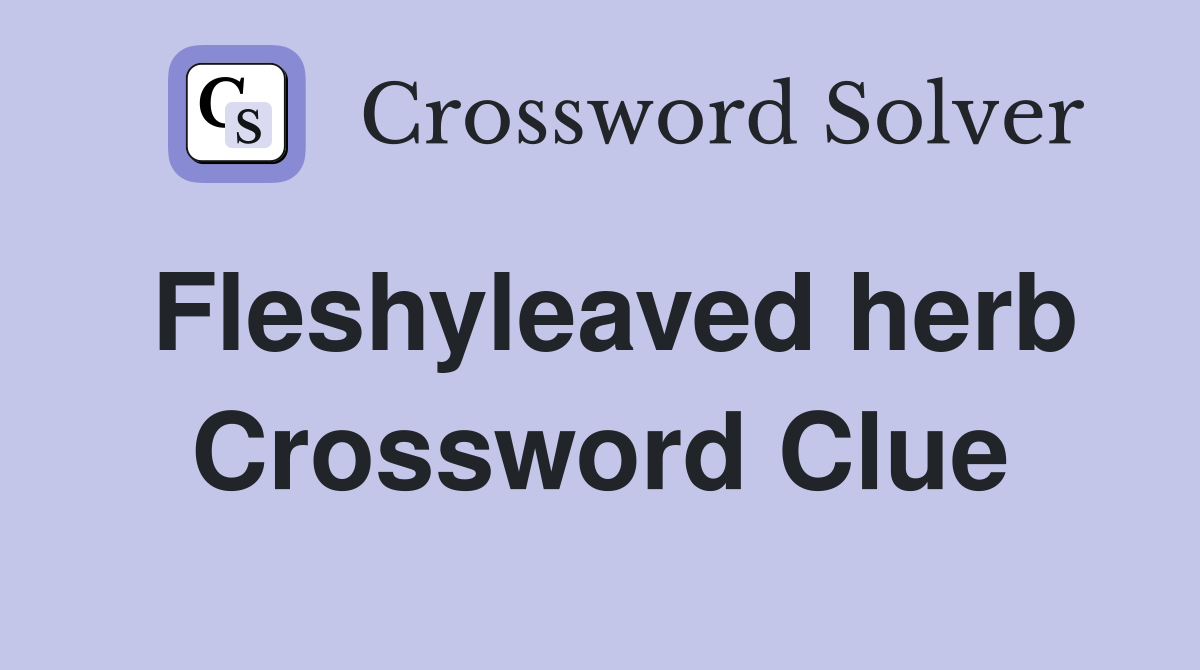 Fleshyleaved herb Crossword Clue