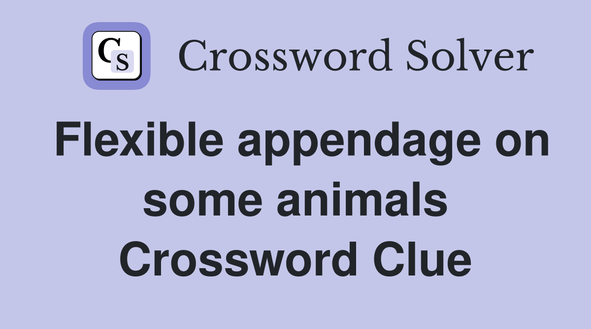 Flexible appendage on some animals Crossword Clue