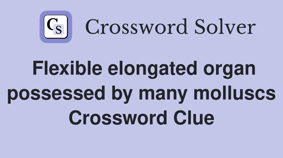 Flexible elongated organ possessed by many molluscs Crossword Clue