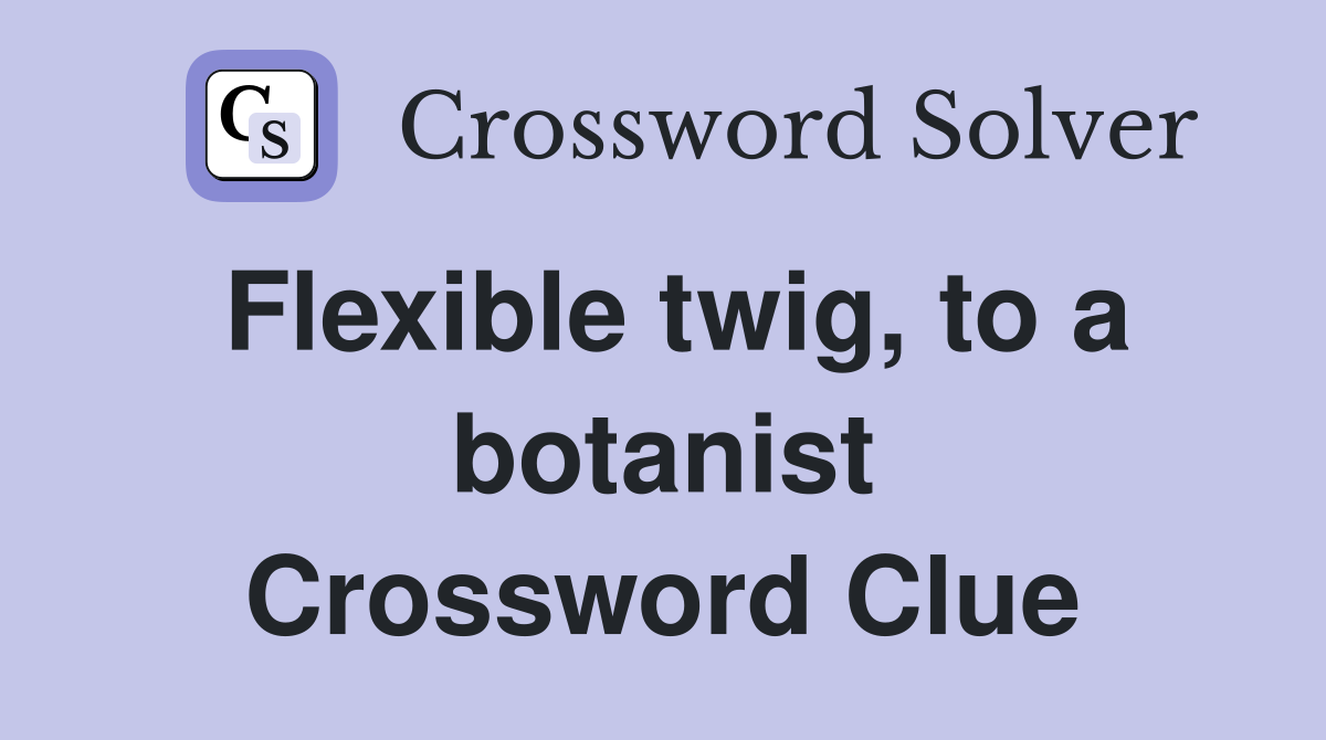 Flexible twig, to a botanist Crossword Clue