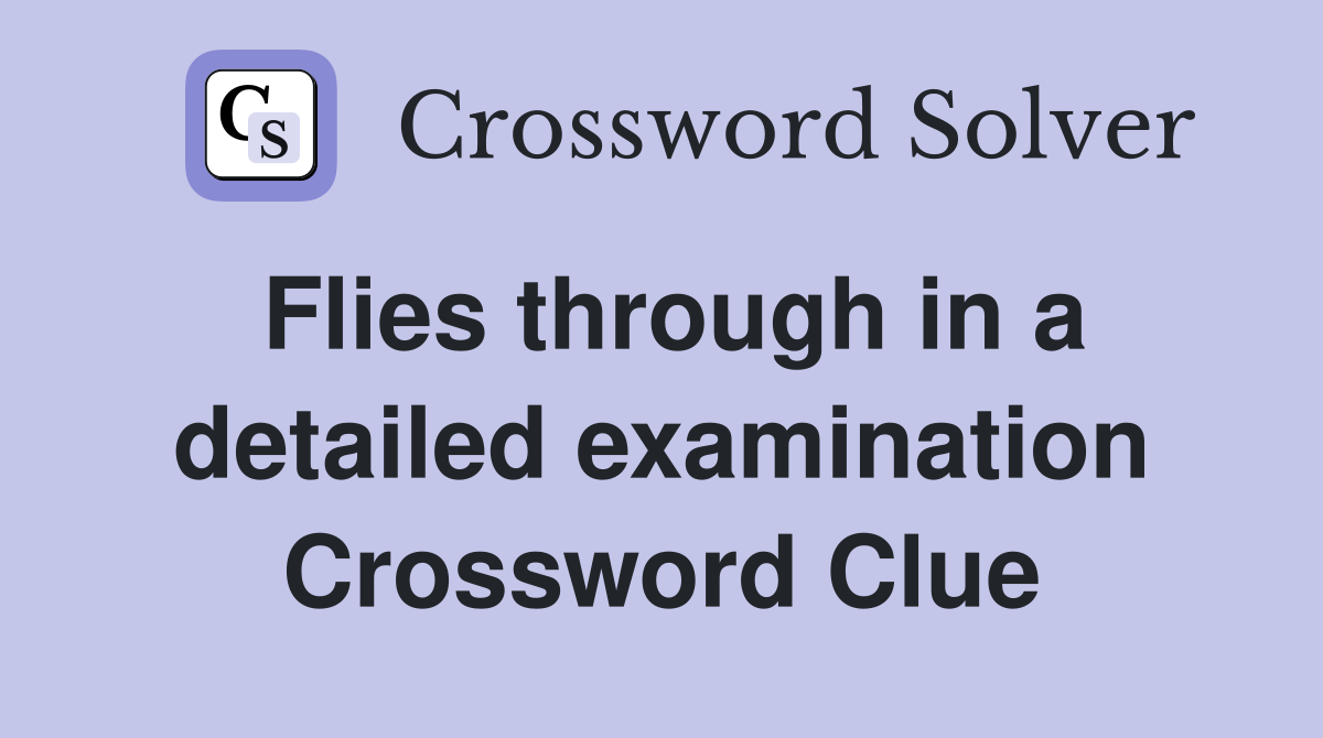 Flies through in a detailed examination Crossword Clue