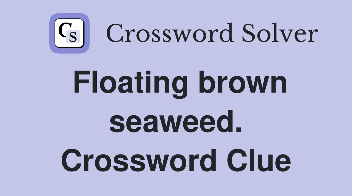 Floating brown seaweed. Crossword Clue