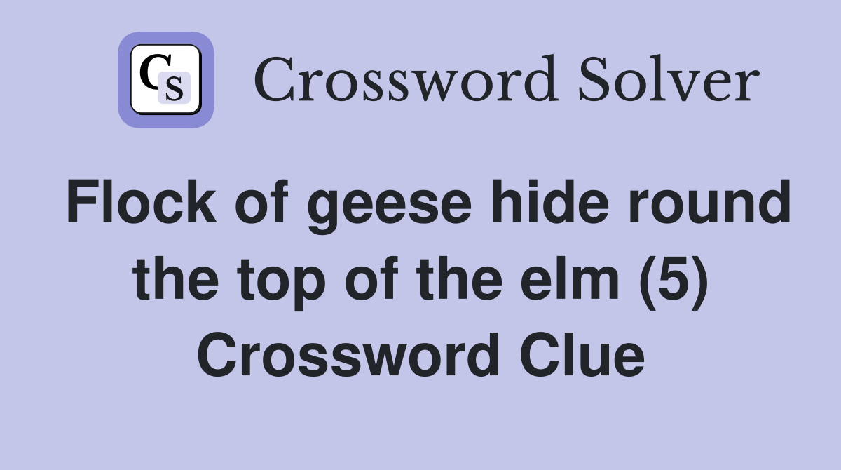 Flock of geese hide round the top of the elm (5) Crossword Clue