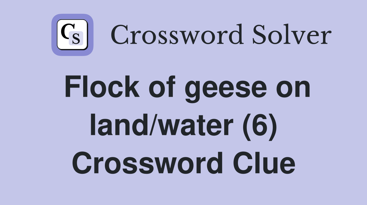 Flock of geese on land/water (6) Crossword Clue