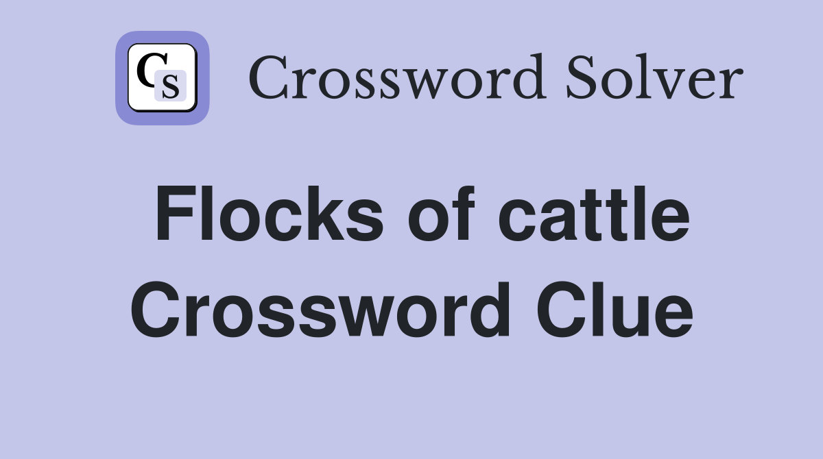 Flocks of cattle Crossword Clue