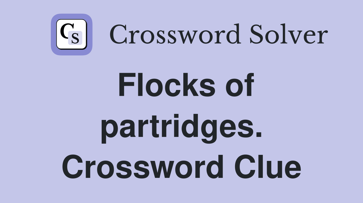 Flocks of partridges. Crossword Clue