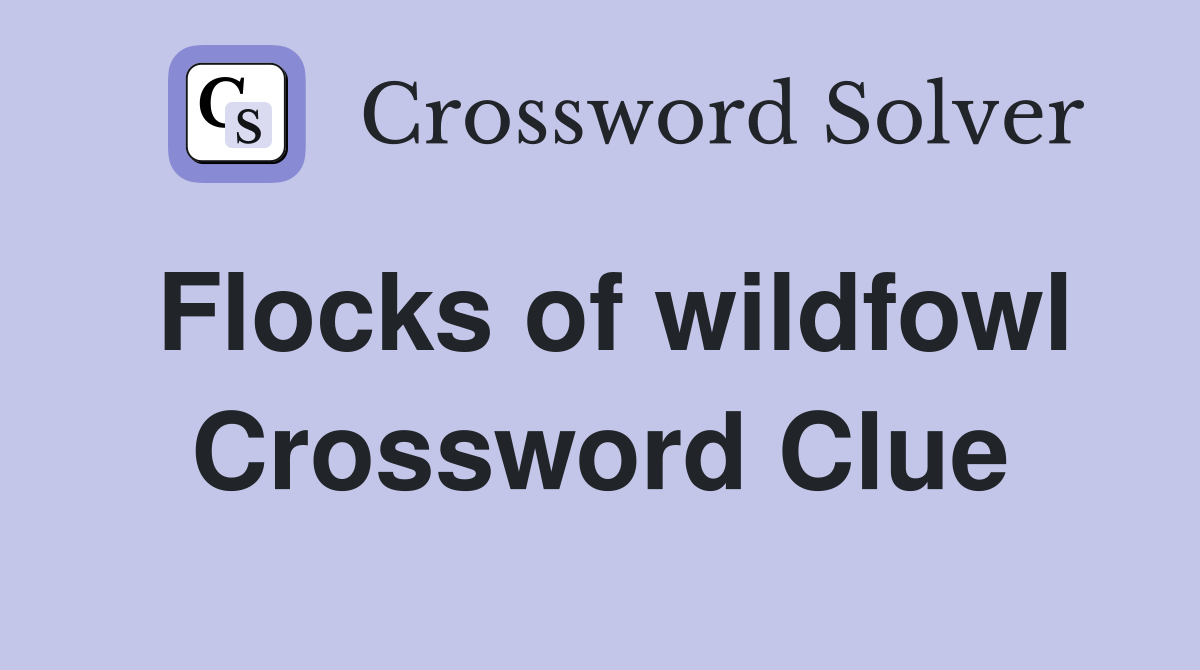 Flocks of wildfowl Crossword Clue