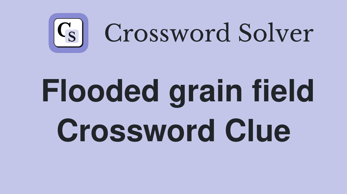 Flooded grain field Crossword Clue