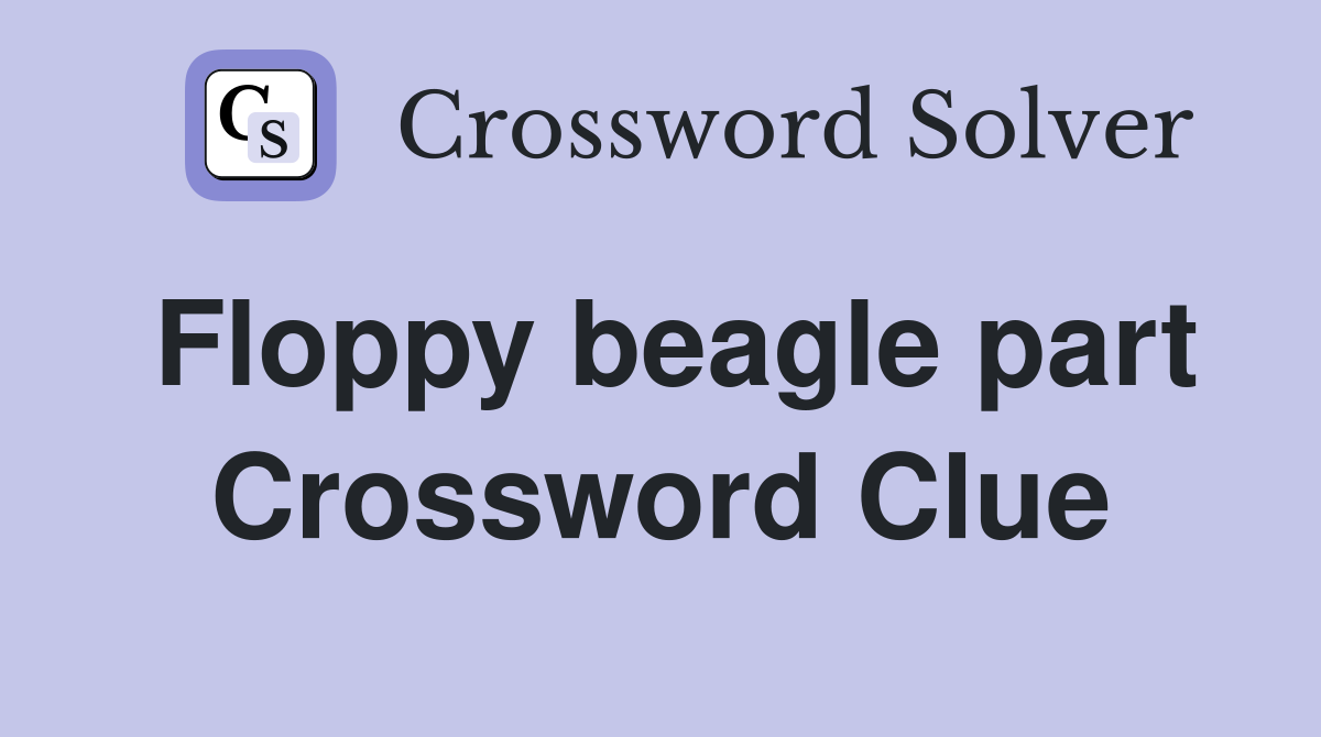 Floppy beagle part Crossword Clue