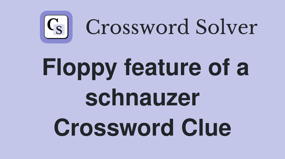 Floppy feature of a schnauzer Crossword Clue