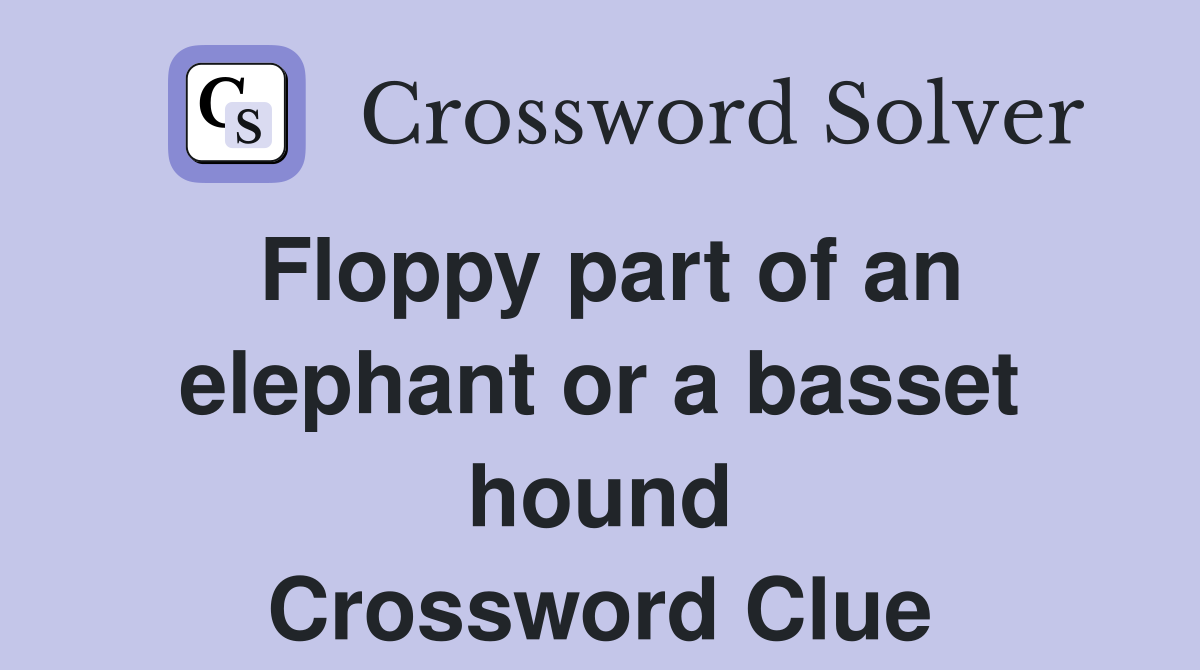 Floppy part of an elephant or a basset hound Crossword Clue