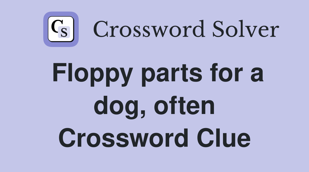 Floppy parts for a dog, often Crossword Clue