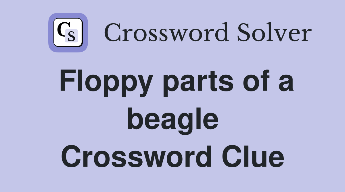 Floppy parts of a beagle Crossword Clue