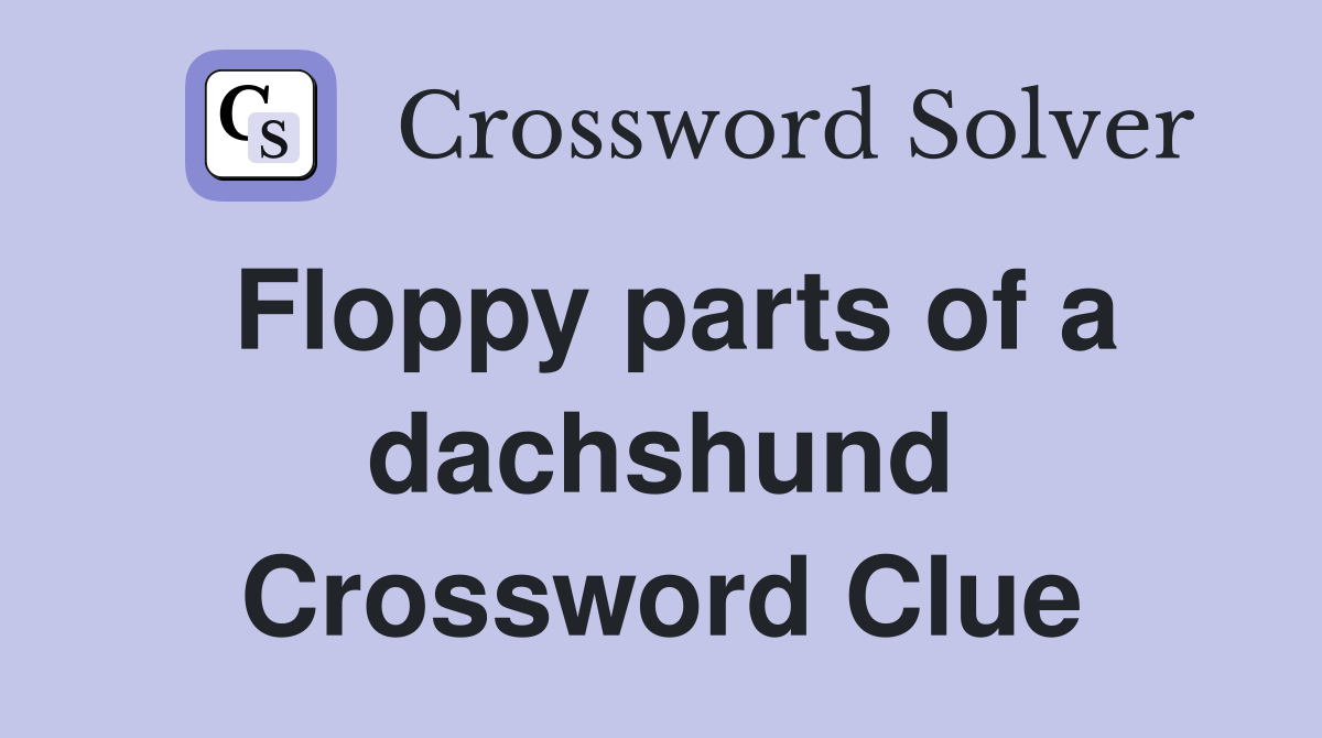 Floppy parts of a dachshund Crossword Clue