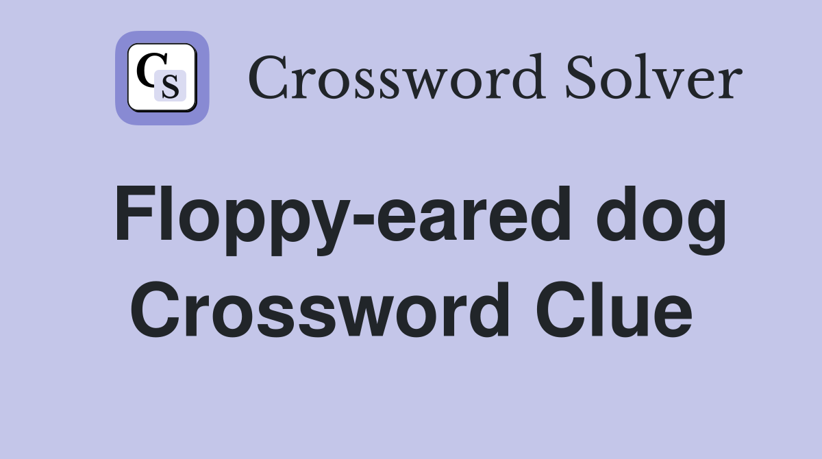 Floppy-eared dog Crossword Clue